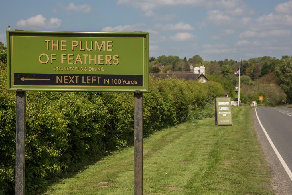 The Plume Of Feathers Bed and Breakfast Σριούσμπερι Εξωτερικό φωτογραφία