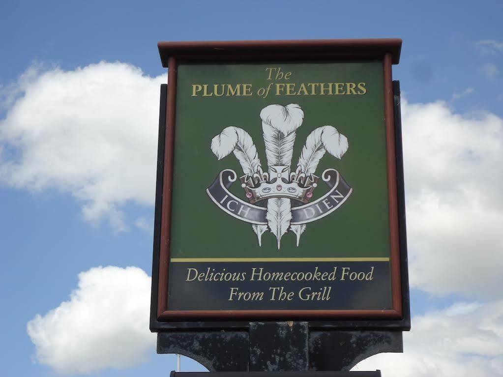 The Plume Of Feathers Bed and Breakfast Σριούσμπερι Εξωτερικό φωτογραφία